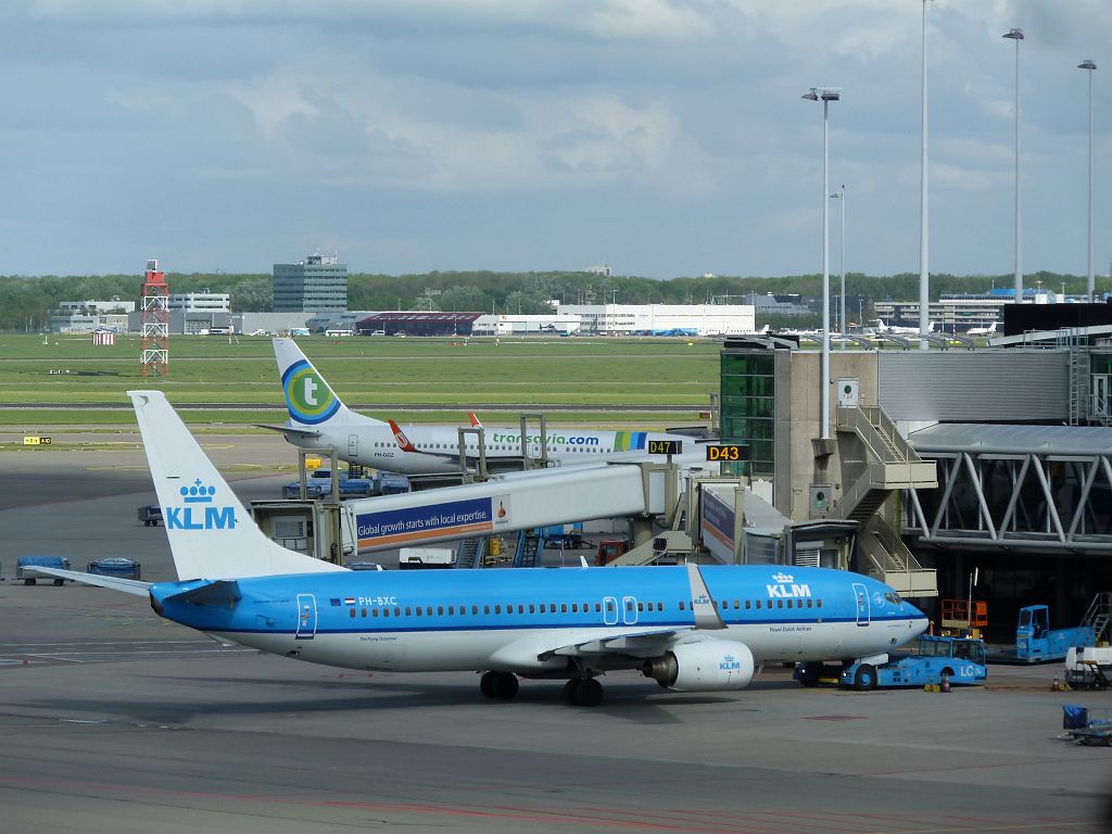 D-E Platform - PGH-BXC Boeing 737-8K2 - Amsterdam